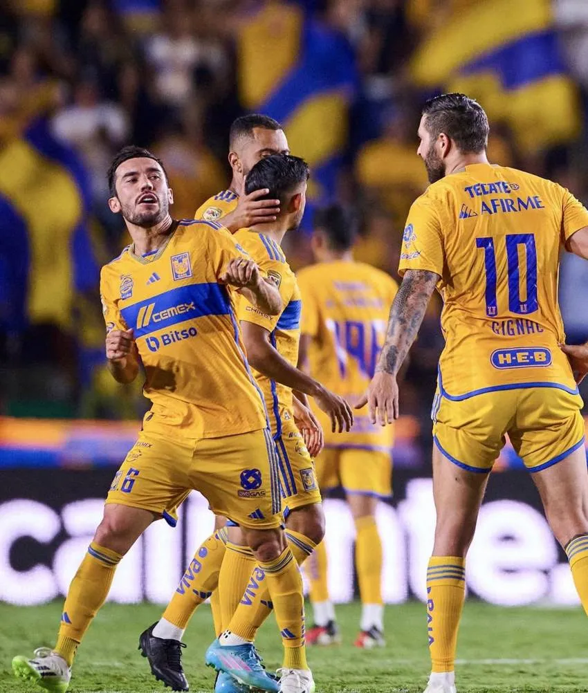 Los festejos de los felinos