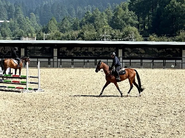 Nicolás Pizarro buscará su pase a París 2024