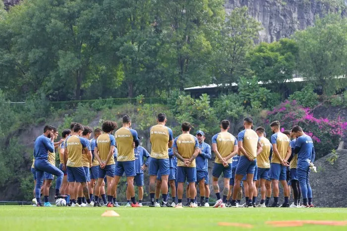 Pumas promoverá la adopción de perros y gatos