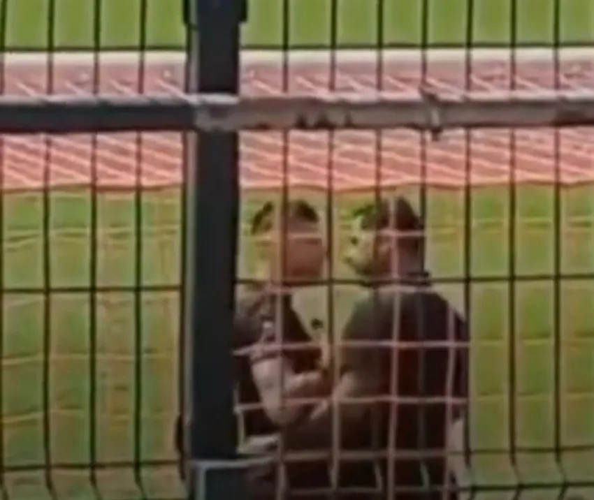 Momentos donde se encaró con 'Rambo'