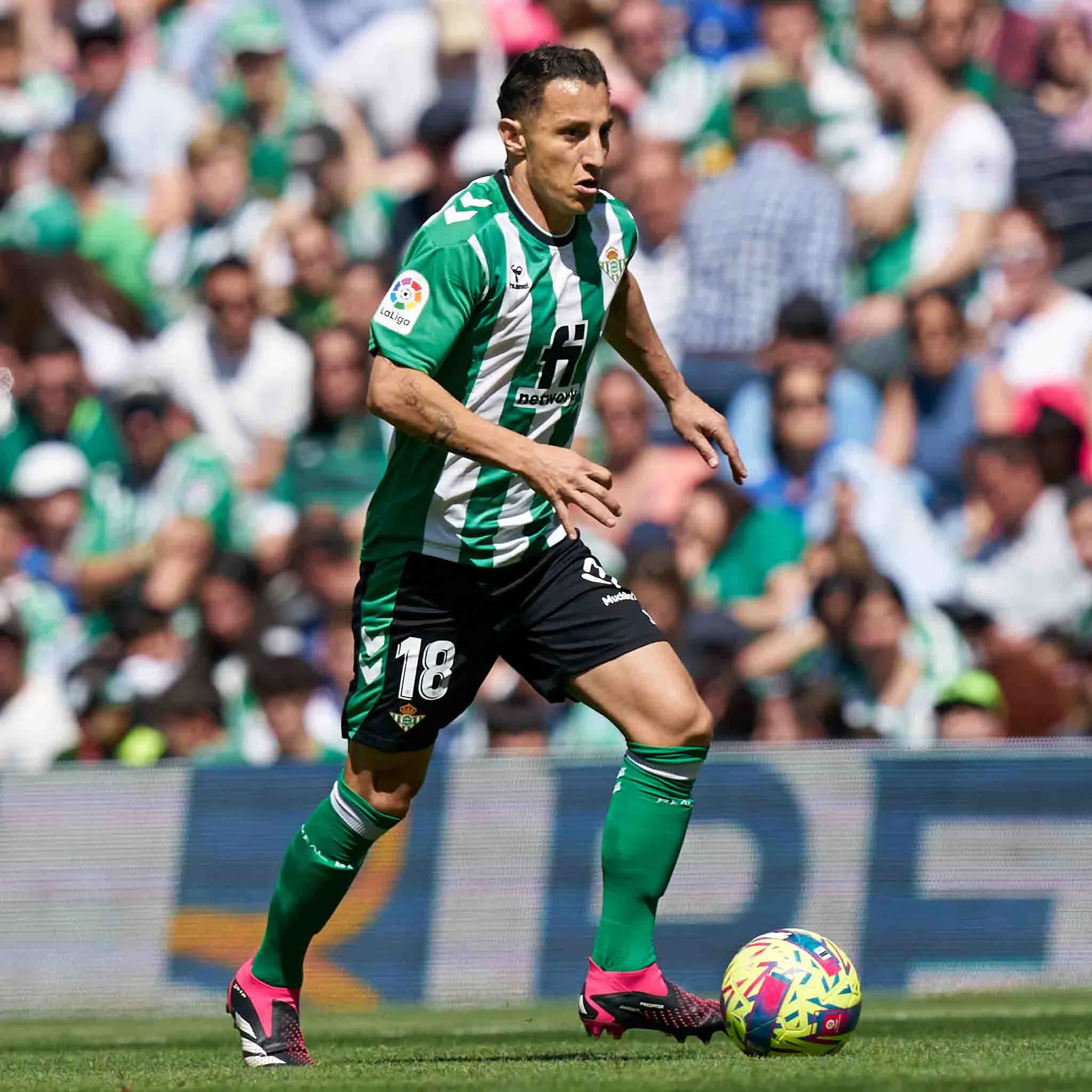 Andrés Guardado, durante un partido de LaLiga con el Betis