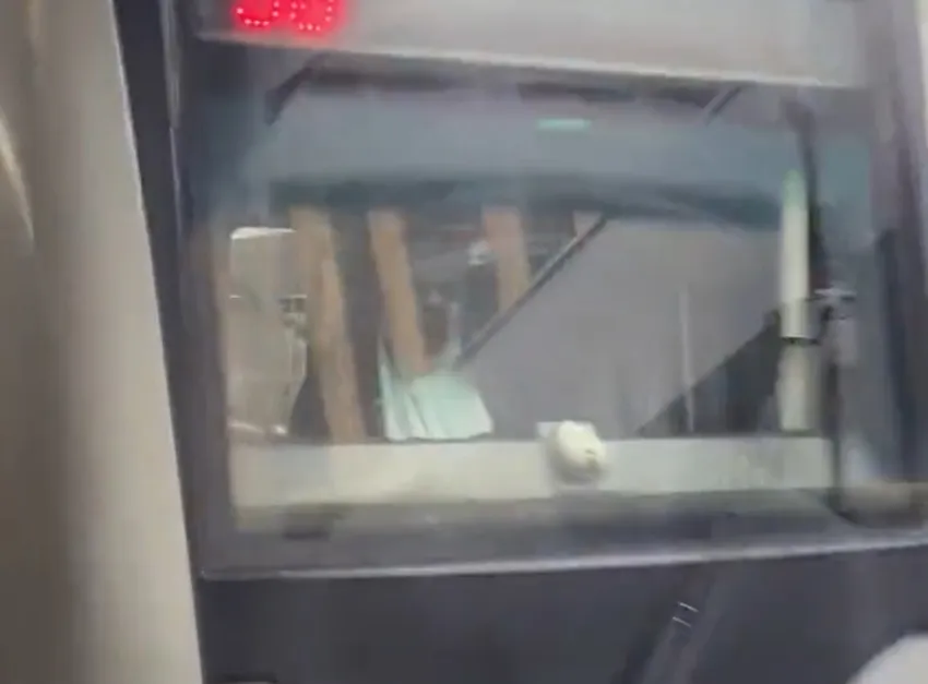 Chófer del sistema de transporte colectivo, disfrazado