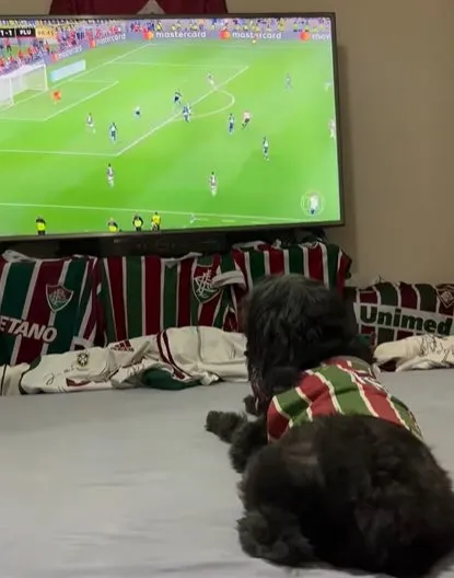 Pretinha festejó el triunfo de Fluminense