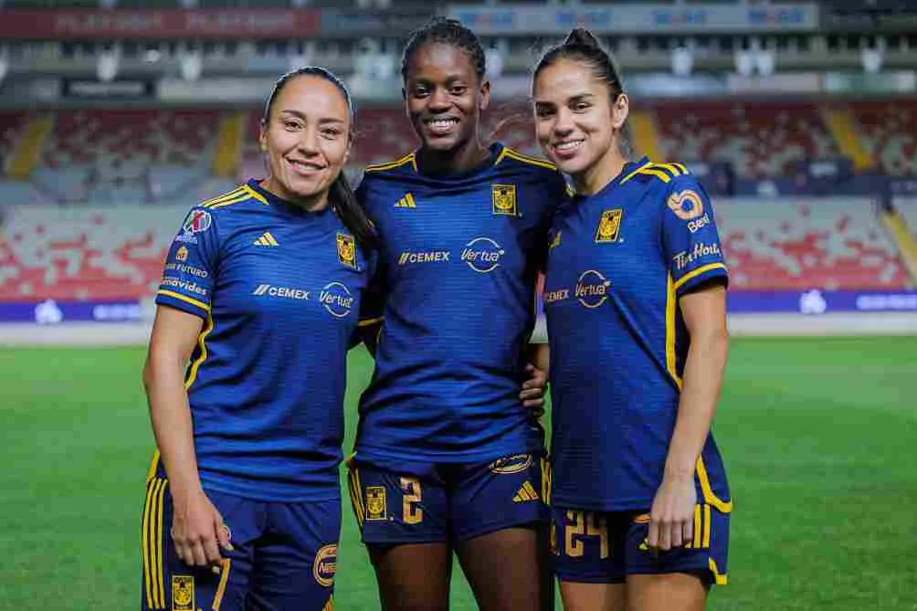 Tigres clasificó como líder