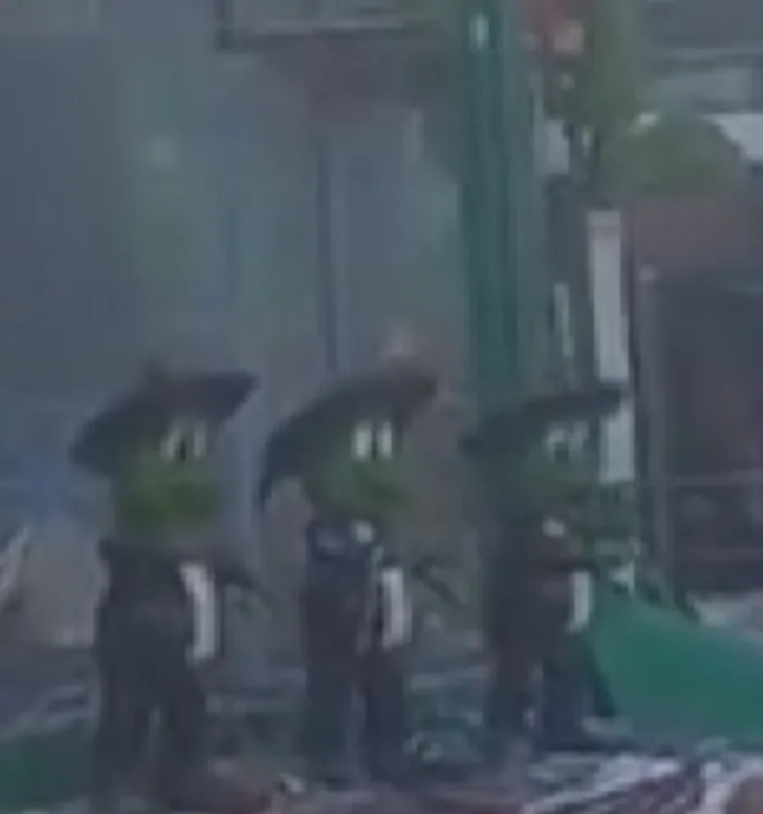 CAPTURA DE PANTALLA Ranas del Señor Frogs