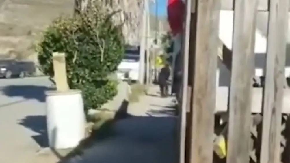 CAPTURA DE PANTALLA: Twitter: @BrenMtzCarrera Afuera de la primaria policías se enfrentaron a dos personas armadas.