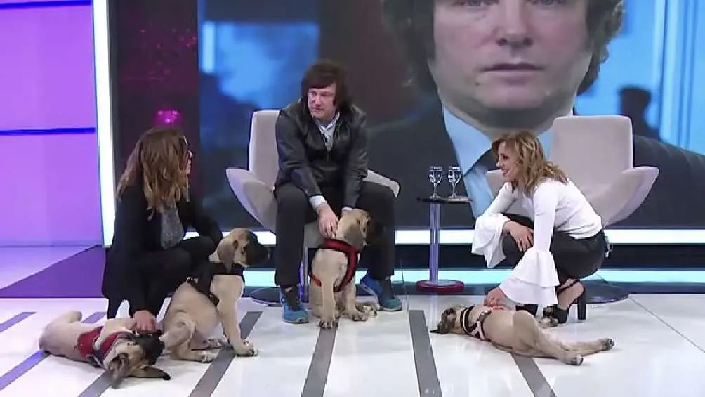 Los nombres de los cuatro perros clonados son Conan, Murray, Milton y Robert