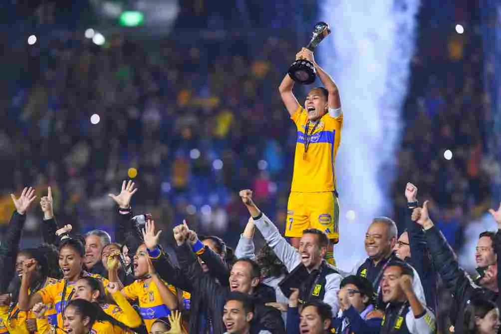 Tigres en la celebridad