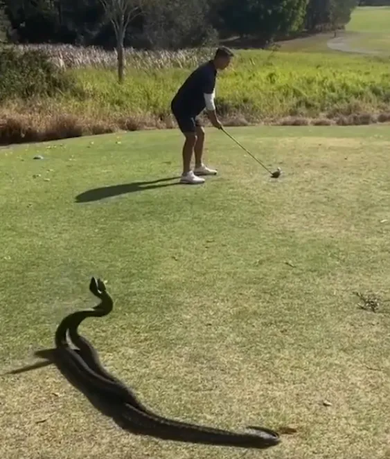 Instagram: @golfjunkie1 La pelea sucedió a metros de un jugador