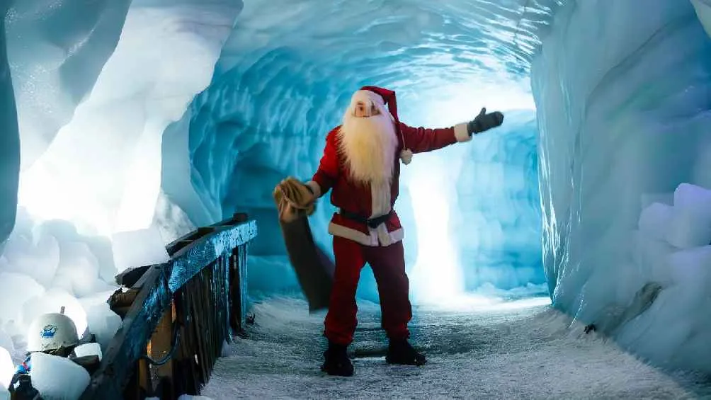 Disfruta de las fistas con familiares y amigos