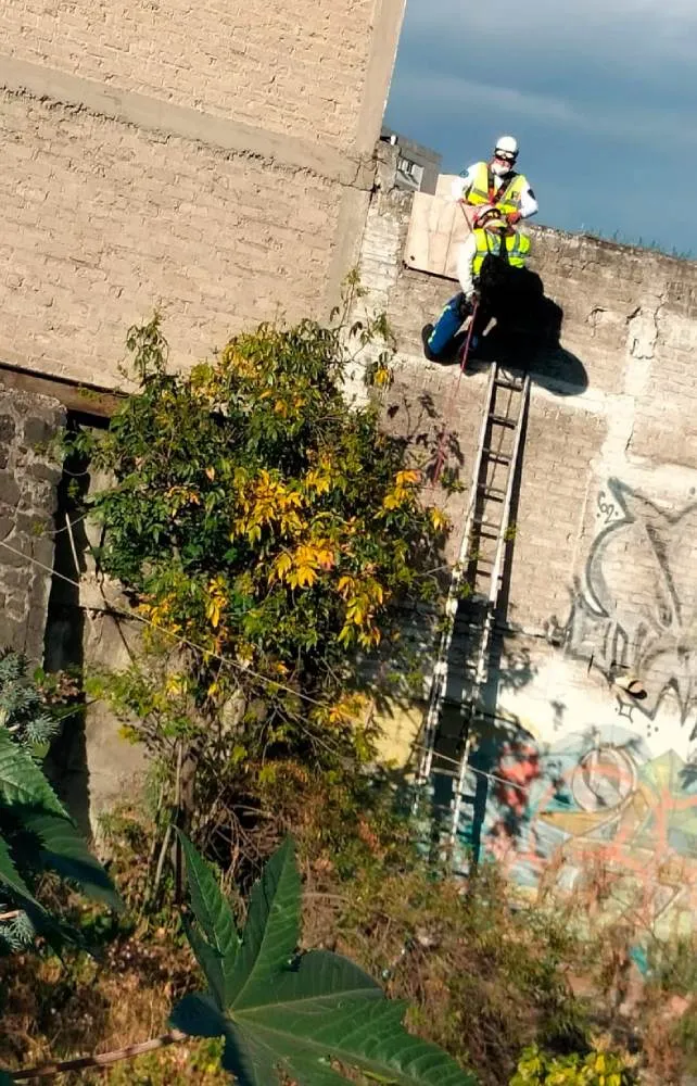 Con la ayuda de una escalera, cuerdas y arneses, es como sacaron al joven del canal