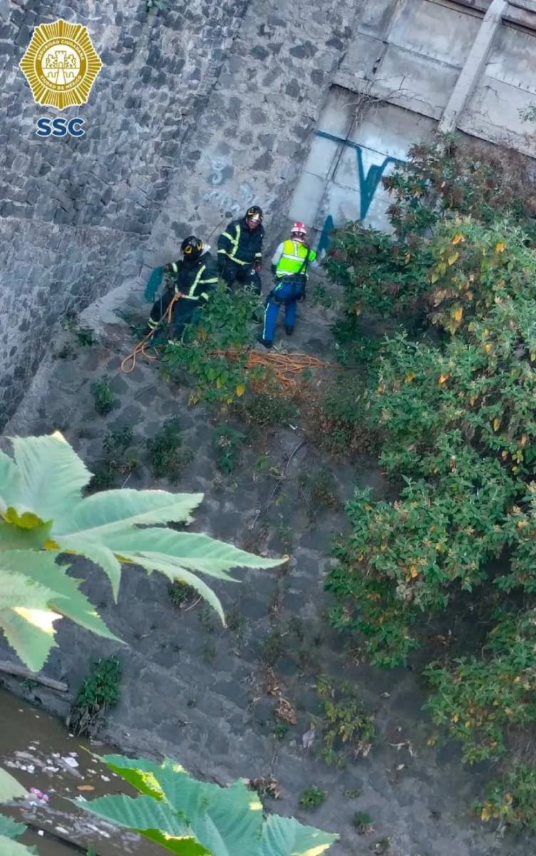 El joven cayó desde una altura de siete metros, pero vivió para contarlo.