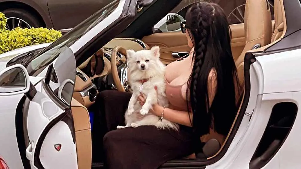 Piden ayuda para encontrarla