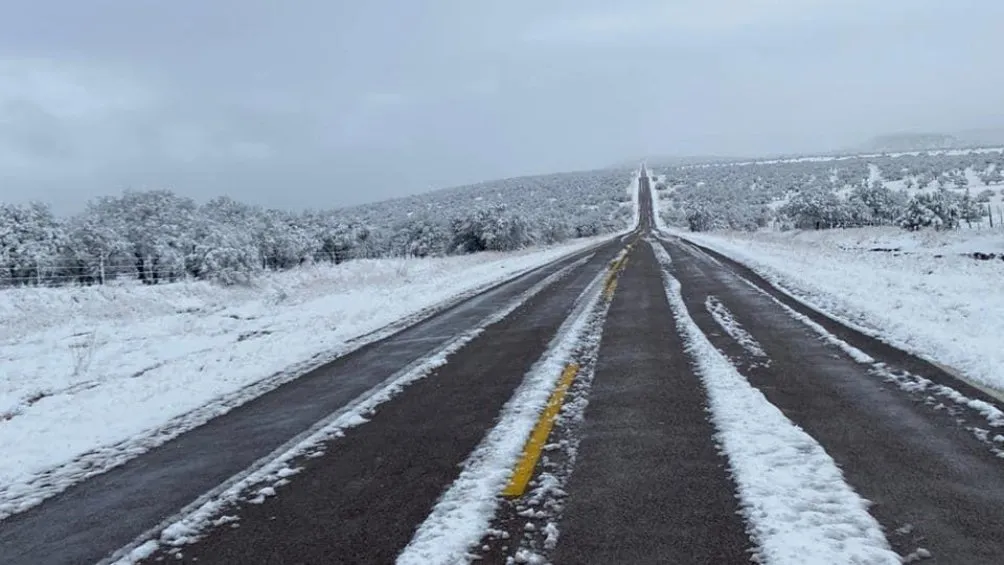 Carretera en Chihuahua rodeada de nieve