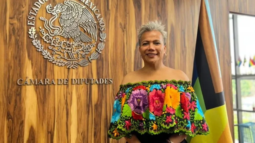 Salma Luévano en la Cámara de Diputados