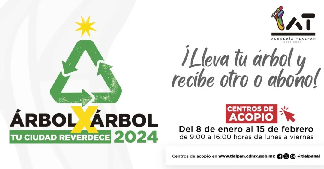 Puedes llevar tu árbol a los centros de acopio en Tlalpan.