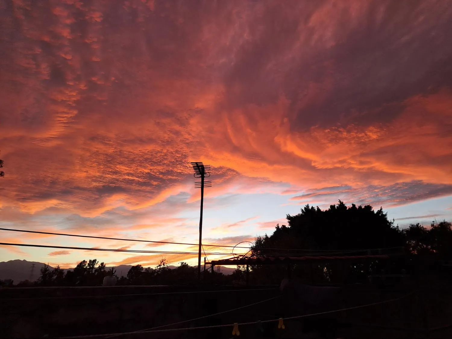 El choque de los rayos del sol contra el azul del cielo hacen esta combinación.