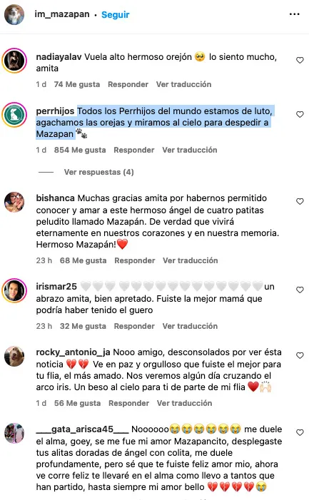 Sus miles se seguidores se hicieron presentes para despedir al adorable orejón.