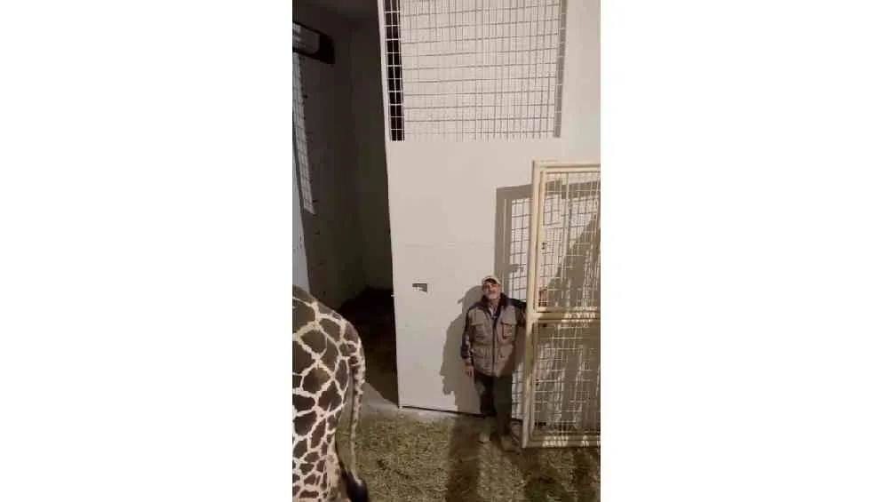 Los especialistas señalan que Benito llegó en perfectas condiciones.