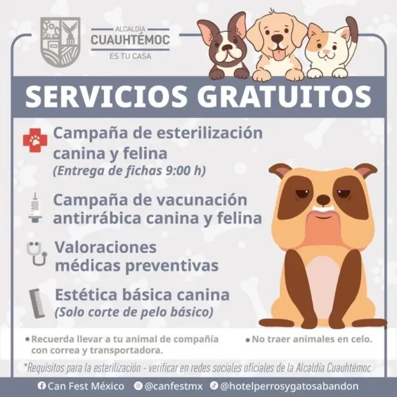 @AlcCuauhtemocMX Información de los servicios que habrá en el CanFest.