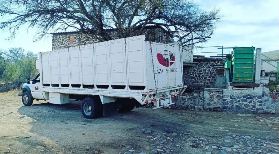 Buscan erradicar las corridas de toros en CDMX