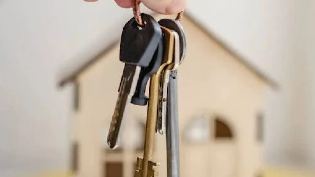 Posesión de terreno