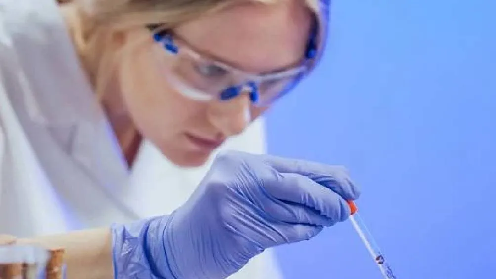 11 de ferebro se conmemora el Día internacional de la mujer en la cincia Foto: Pexeles
