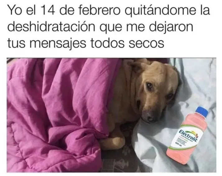 Toda imagen fue motivo de meme.