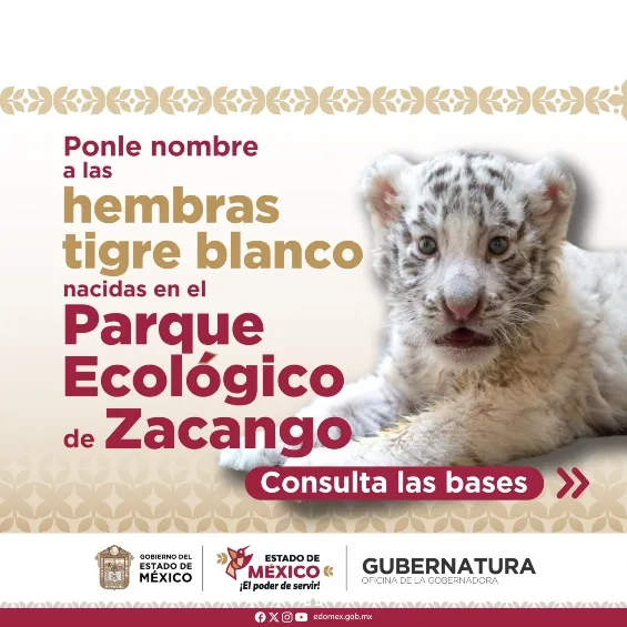 Los niños mexiquenses pueden entrar a la convocatoria.