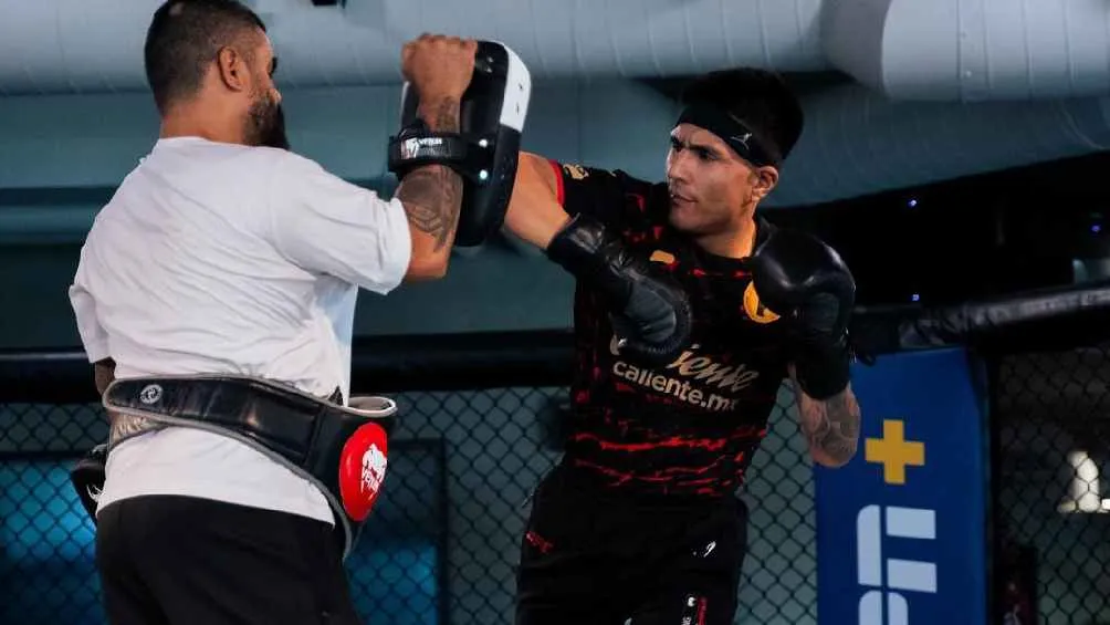 Busca seguir con su éxito