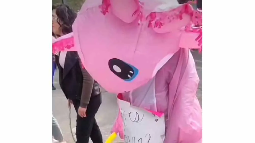 CAPTURA DE PANTALLA Declaró su amor en una botarga