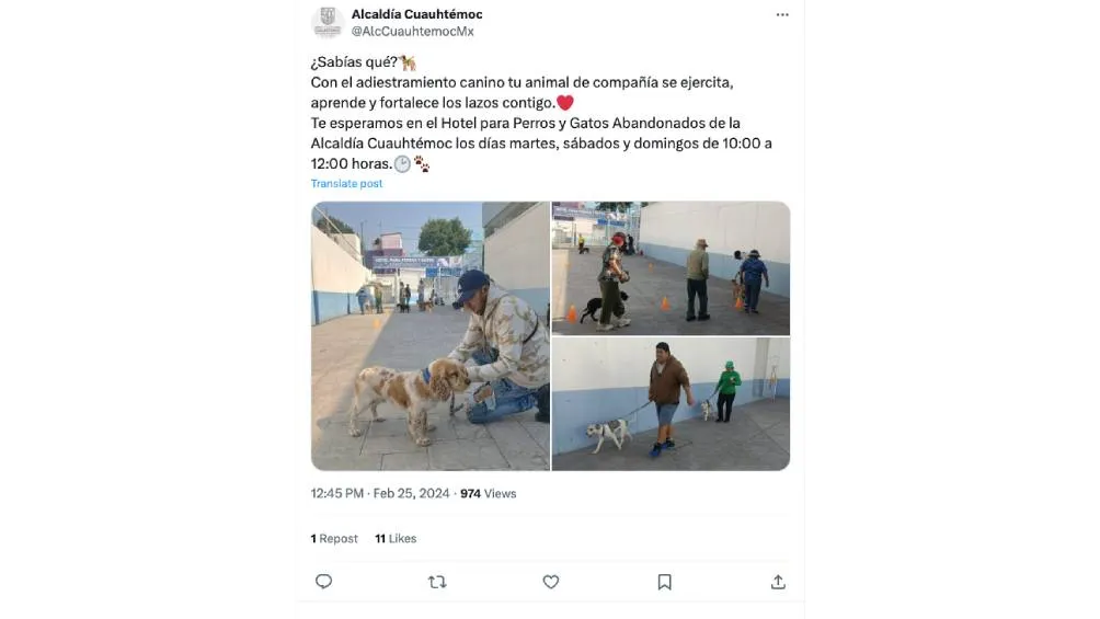 Entrenamiento canino gratuito Foto Captura de pantalla "X"