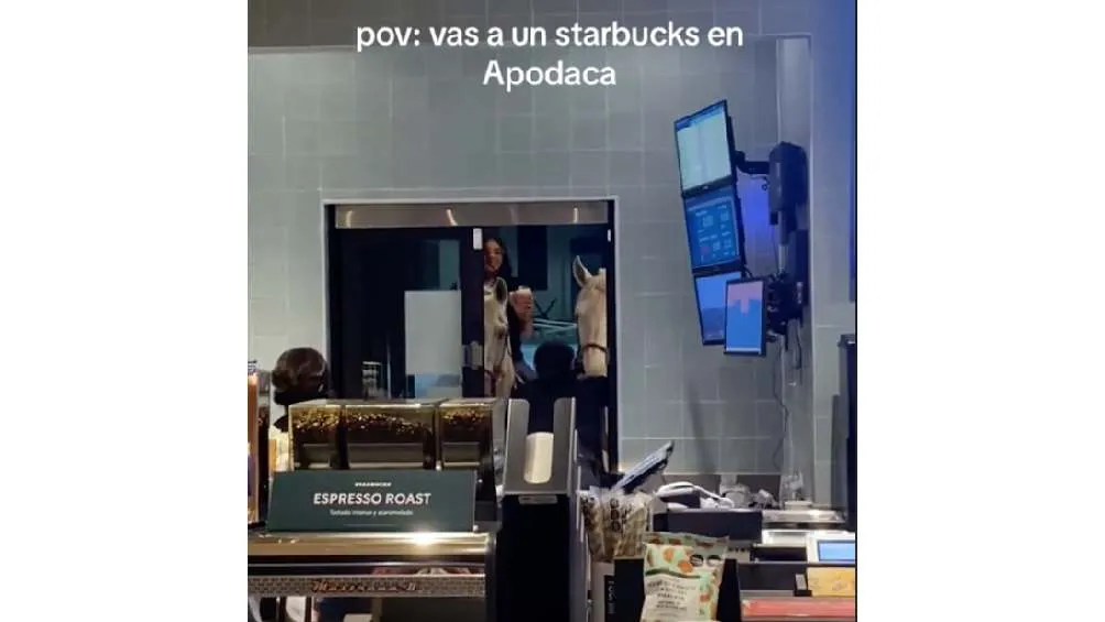 Algunos criticaron a las chicas por querer llamar la atención.