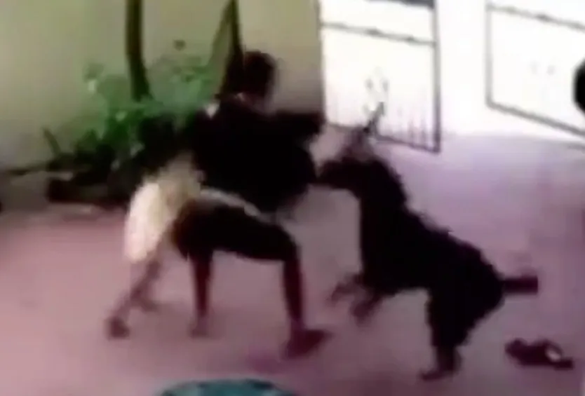 El perro de inmediato se lanzó sobre el hombre para rescatar a la niña.