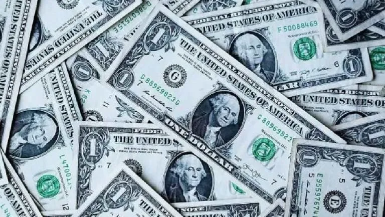 ESPECIAL Todos los días te informamos del valor del dólar estadounidense.