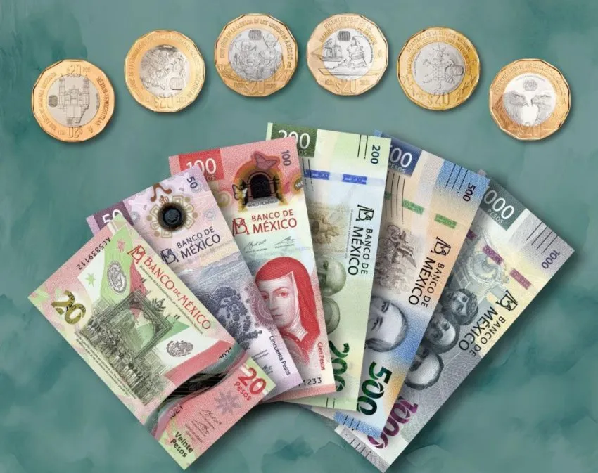 Las distintas divisas de México