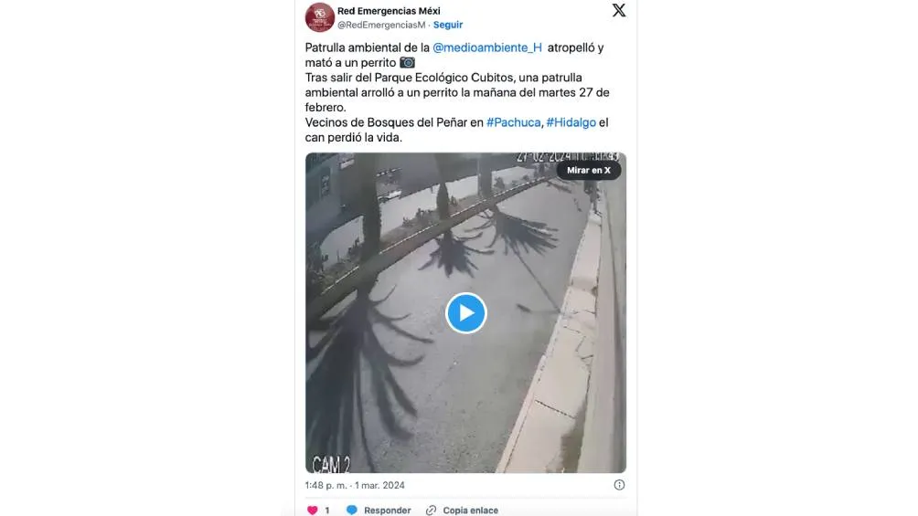 Foto Captura de pantalla