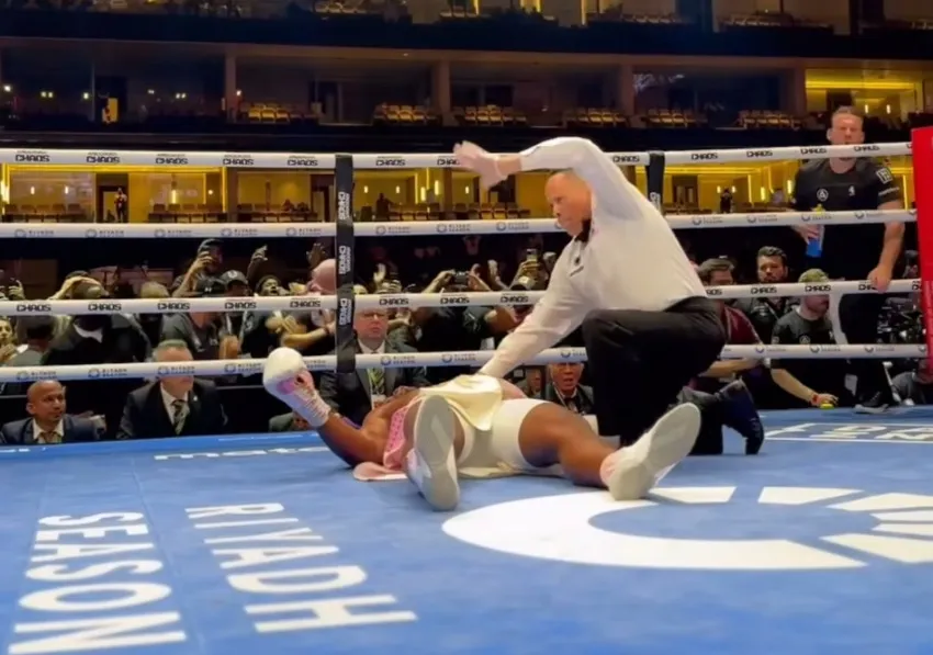 El juez terminó la pelea tras el golpe