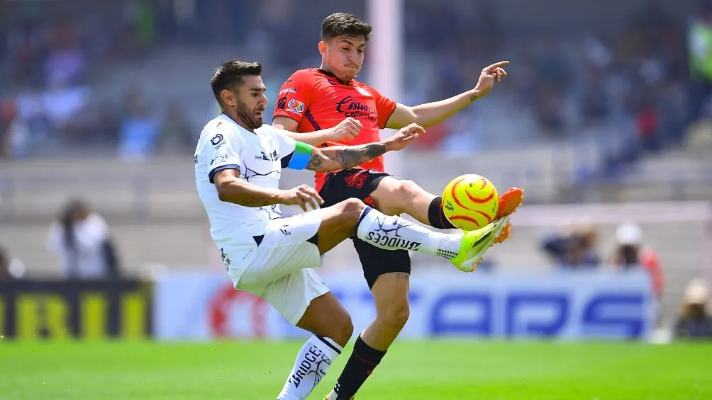 Xolos en el partido ante Pumas