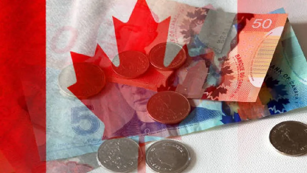 Sueldos en Canadá de hasta 51 mil pesos Foto Pexeles