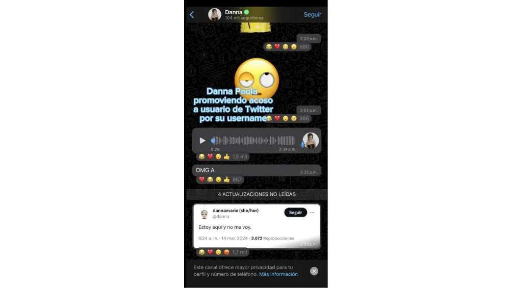 En redes sociales ventilaron los audios que mandó la artista para armar un complot.