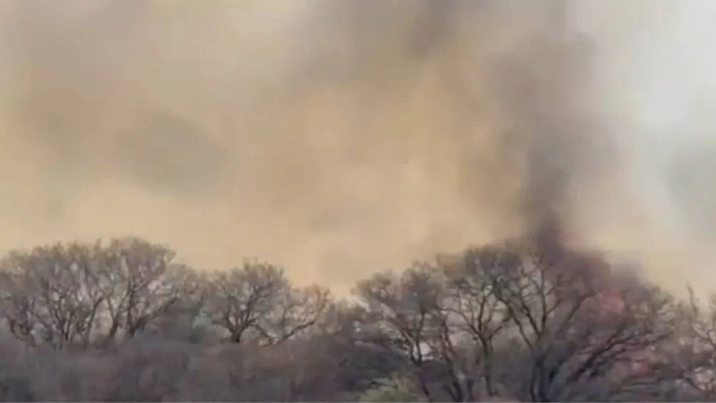 Foto Captura de pantalla