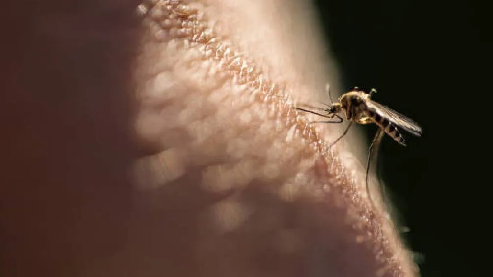 Foto Getty imágenes