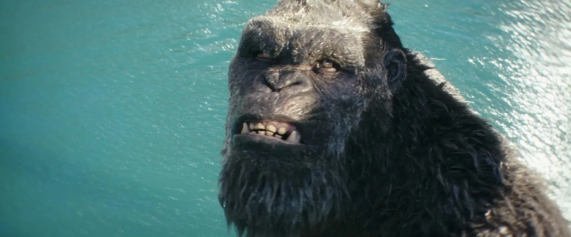 La película ya está en todos los cines del país.