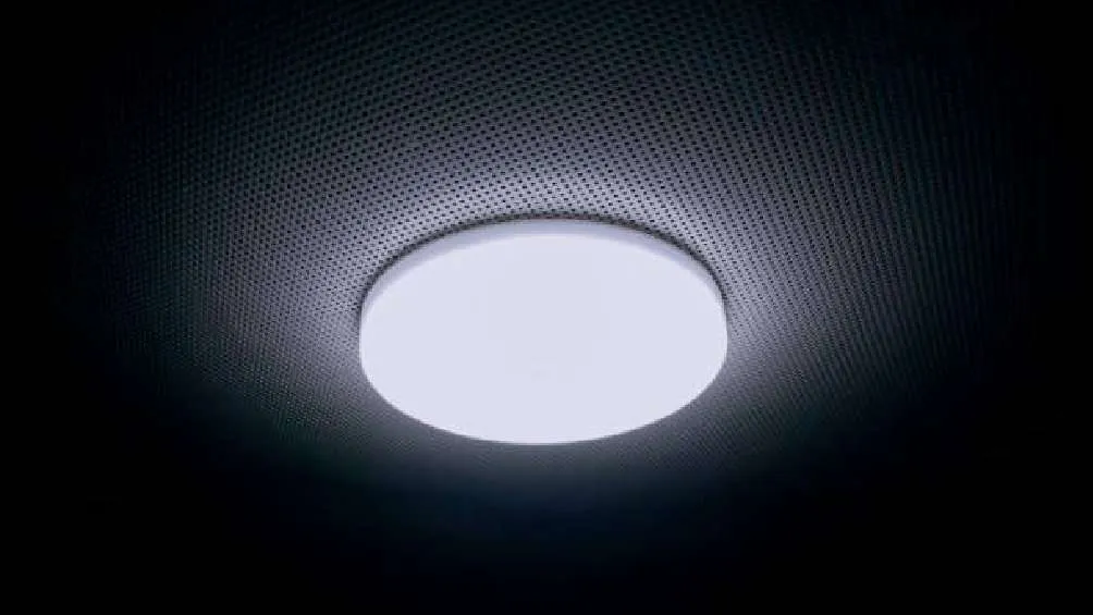 También es recomendable cambiar los focos tradicionales por lámparas LED.