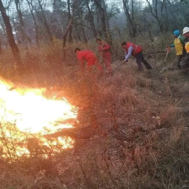 7 mil 611 incendios se reportaron el año pasado.