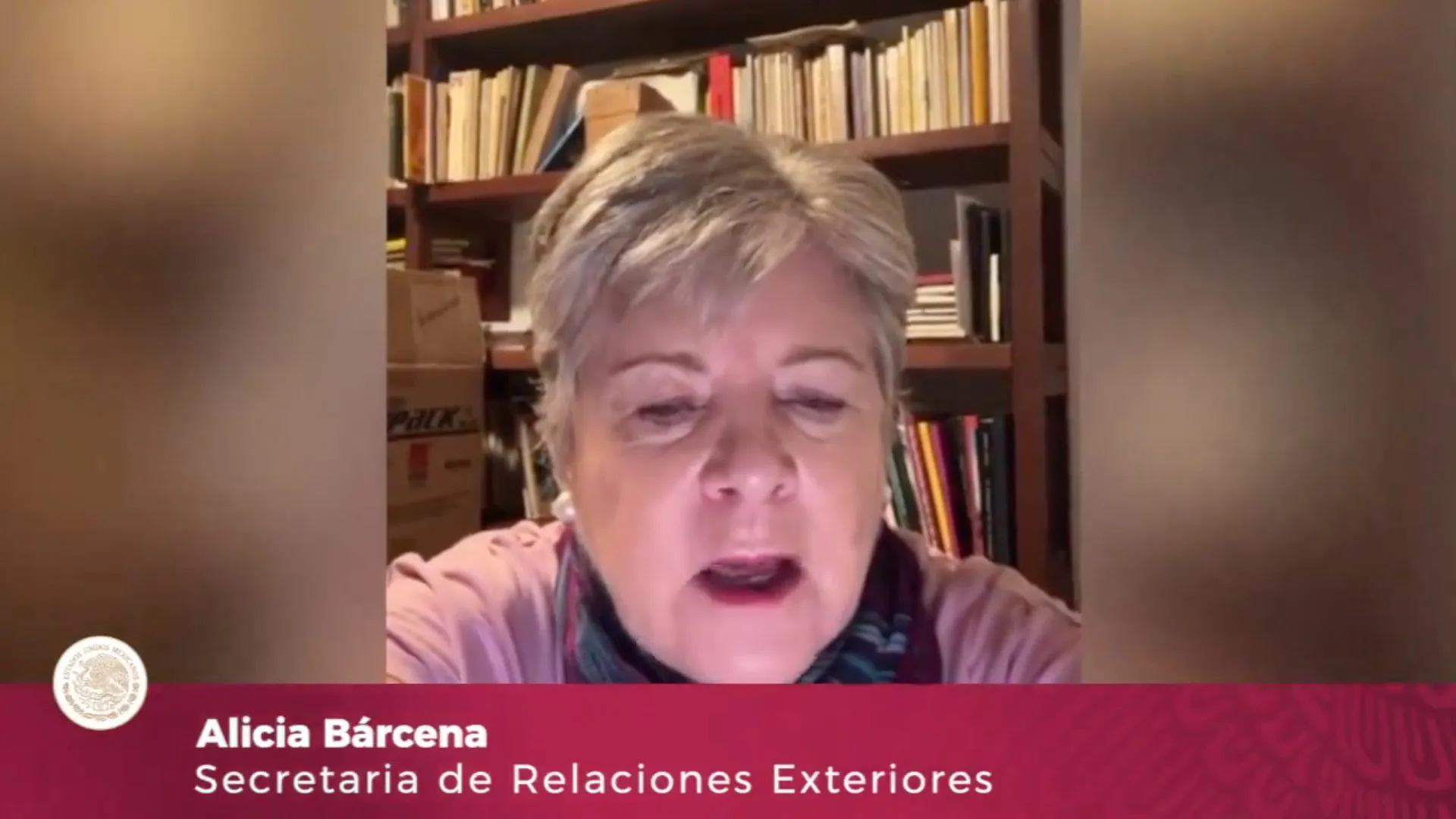 X: @SRE_mx La canciller Alicia Bárcenas también condenó los actos de violencia.