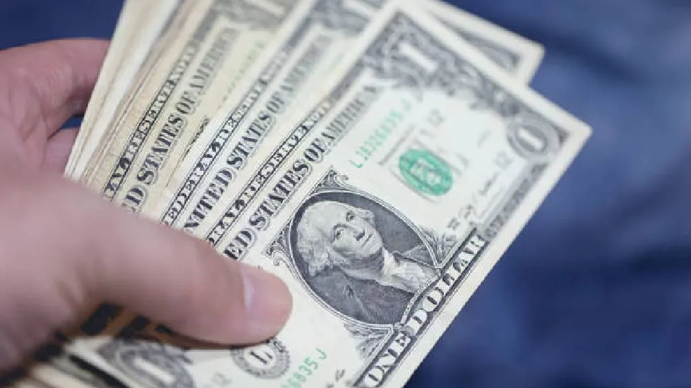El dólar es utilizado para realizar transacciones comerciales internacionales, invertir en mercados financieros y como reserva de valor Foto iStock