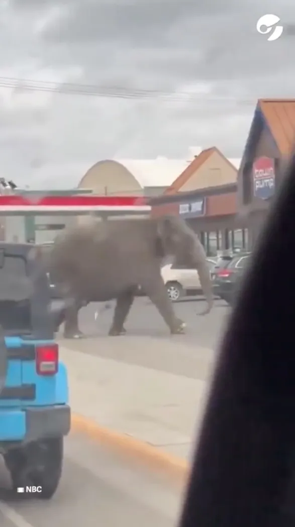 X: @quepasa_oficial La gente se sorprendió y le tomo fotos.