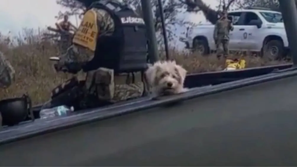 Foto Captura de pantalla